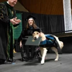 Service dog got his owner through grad school, so the university gave him his own degree